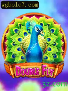 DoubleFly: Mergulhe na Aventura Inovadora com wg-bolo.com